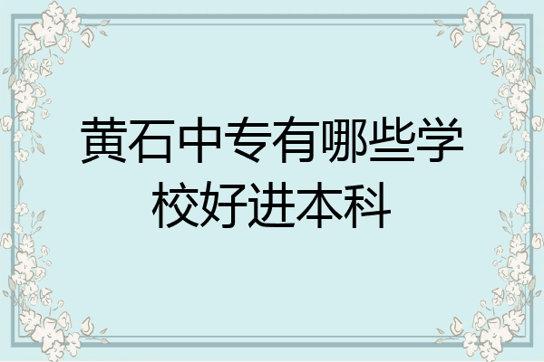 黄石中专有哪些学校好进本科