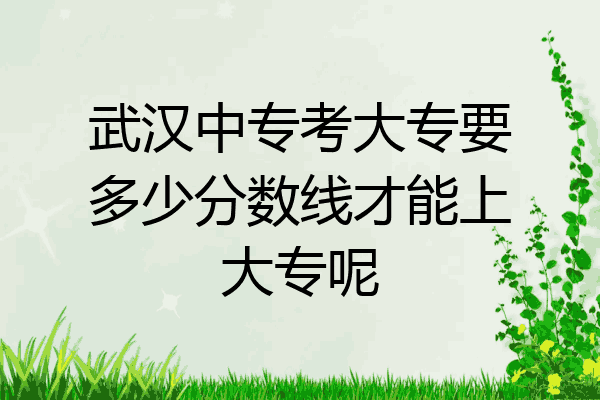 武汉中专考大专要多少分数线才能上大专呢