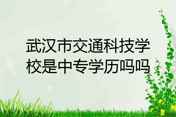 武汉市交通科技学校是中专学历吗吗