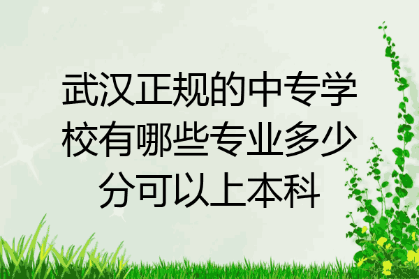 武汉正规的中专学校有哪些专业多少分可以上本科