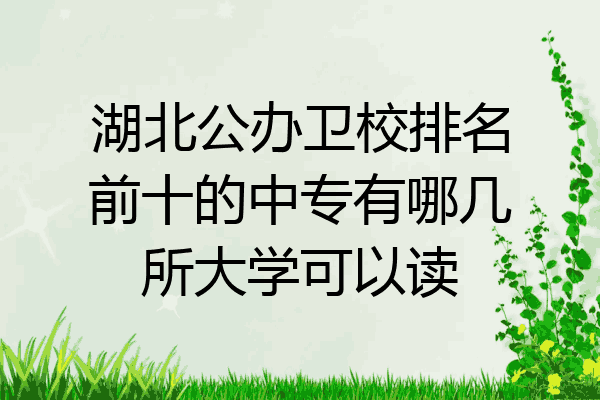 湖北公办卫校排名前十的中专有哪几所大学可以读