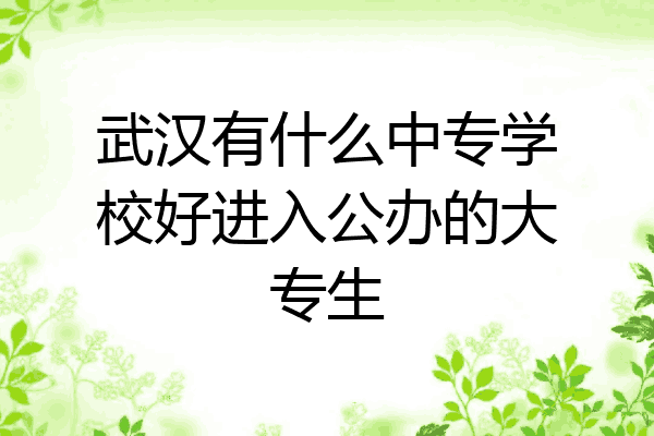 武汉有什么中专学校好进入公办的大专生
