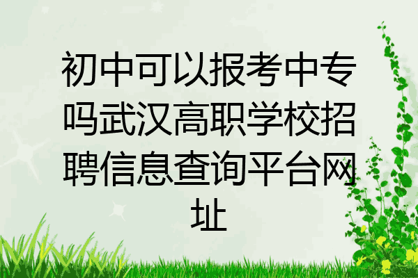 初中可以报考中专吗武汉高职学校招聘信息查询平台网址