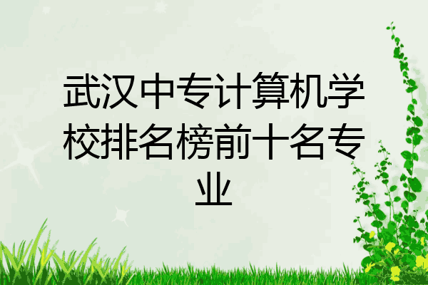 武汉中专计算机学校排名榜前十名专业