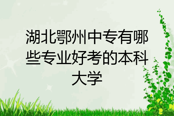 湖北鄂州中专有哪些专业好考的本科大学