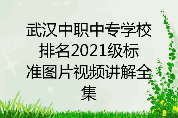 武汉中职中专学校排名2021级标准图片视频讲解全集