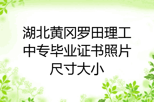 湖北黄冈罗田理工中专毕业证书照片尺寸大小