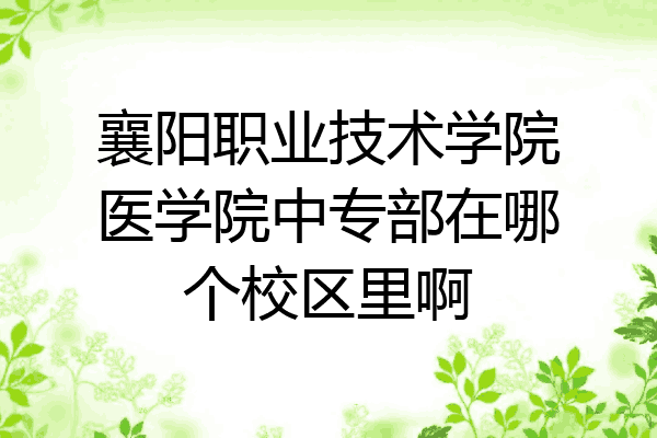 襄阳职业技术学院医学院中专部在哪个校区里啊