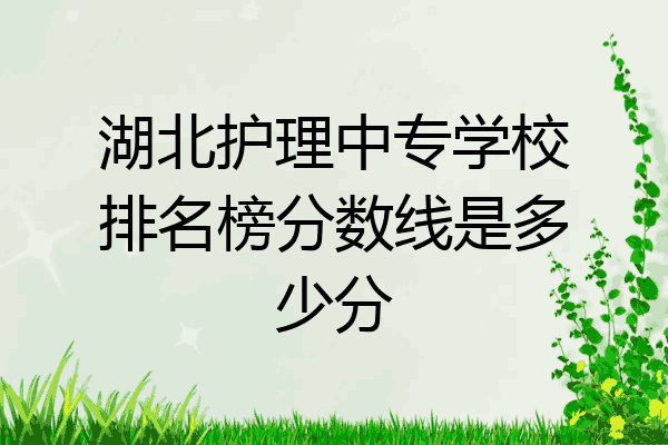 湖北护理中专学校排名榜分数线是多少分