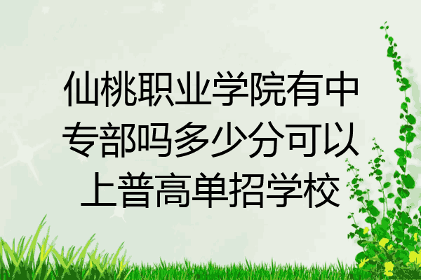 仙桃职业学院有中专部吗多少分可以上普高单招学校