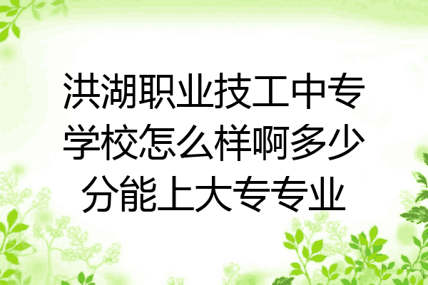 洪湖职业技工中专学校怎么样啊多少分能上大专专业