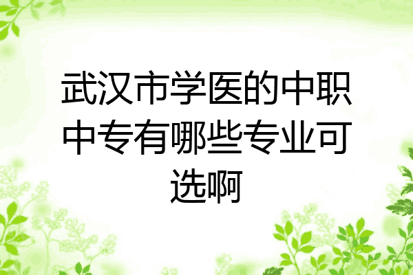 武汉市学医的中职中专有哪些专业可选啊