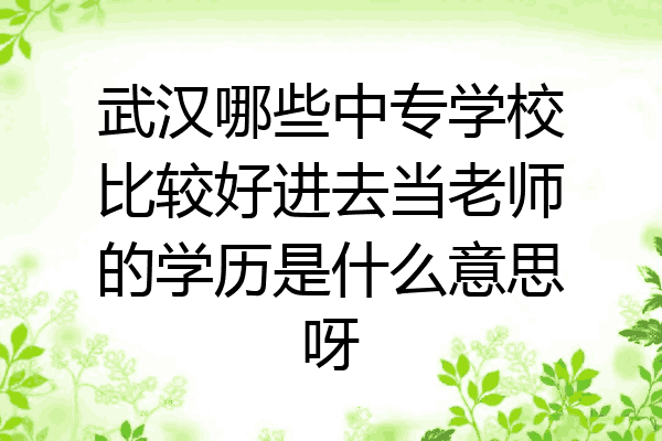 武汉哪些中专学校比较好进去当老师的学历是什么意思呀