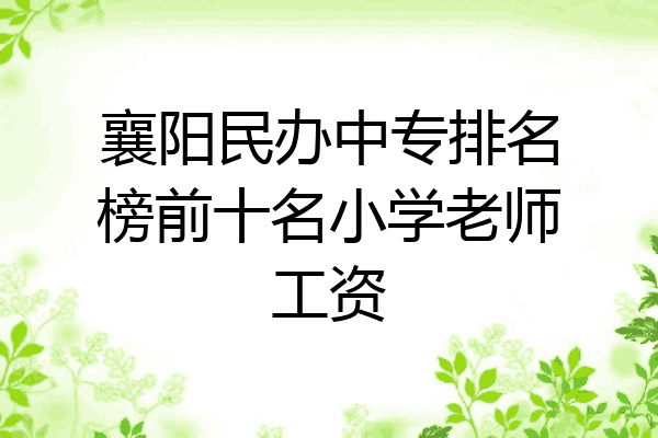 襄阳民办中专排名榜前十名小学老师工资