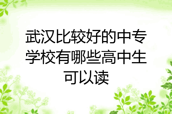 武汉比较好的中专学校有哪些高中生可以读