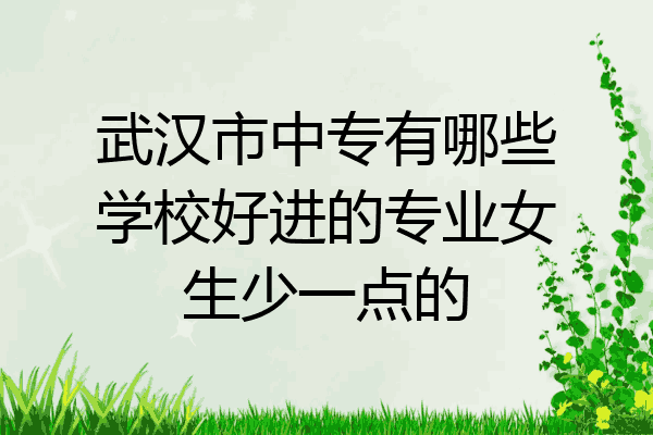 武汉市中专有哪些学校好进的专业女生少一点的