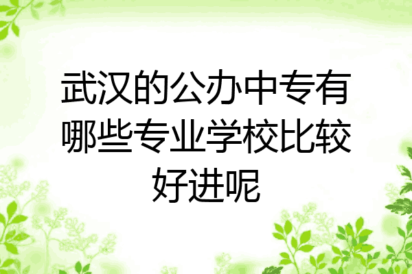 武汉的公办中专有哪些专业学校比较好进呢