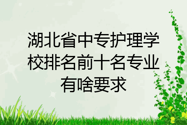 湖北省中专护理学校排名前十名专业有啥要求