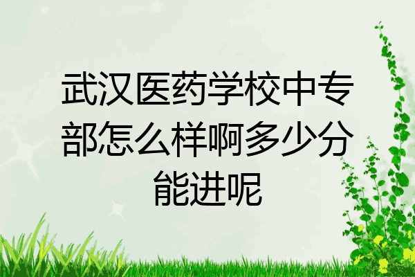 武汉医药学校中专部怎么样啊多少分能进呢