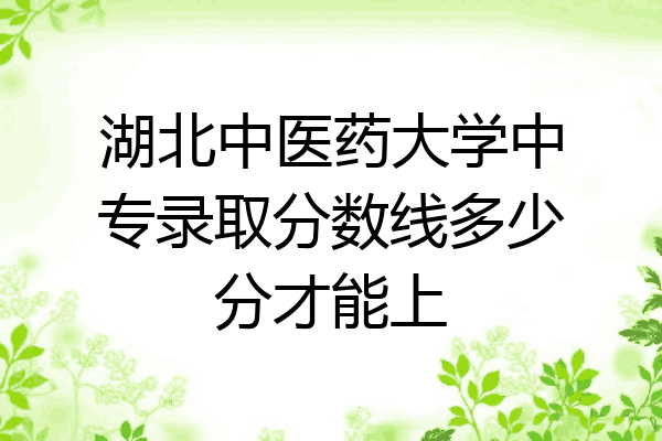 湖北中医药大学中专录取分数线多少分才能上