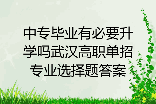 中专毕业有必要升学吗武汉高职单招专业选择题答案