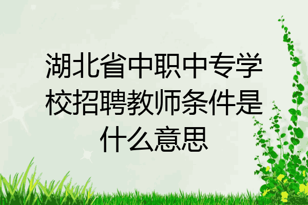湖北省中职中专学校招聘教师条件是什么意思