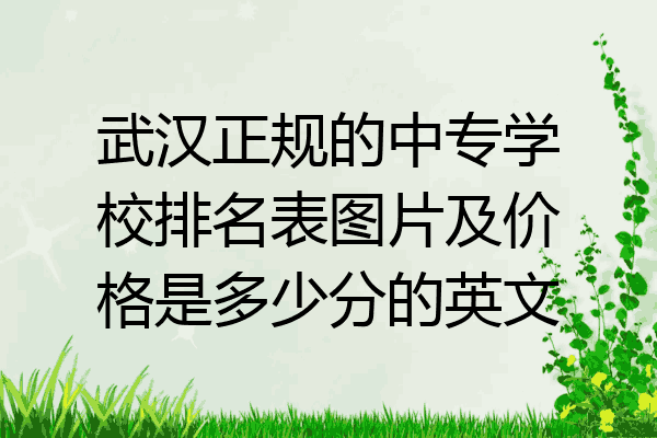 武汉正规的中专学校排名表图片及价格是多少分的英文