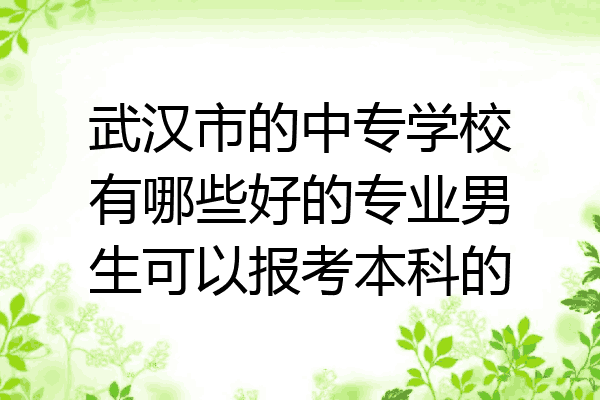 武汉市的中专学校有哪些好的专业男生可以报考本科的