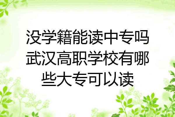 没学籍能读中专吗武汉高职学校有哪些大专可以读