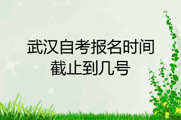 武汉自考报名时间截止到几号