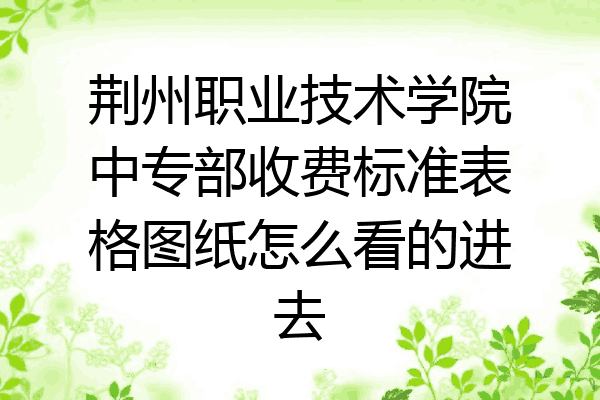 荆州职业技术学院中专部收费标准表格图纸怎么看的进去
