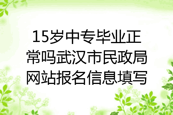15岁中专毕业正常吗武汉市民政局网站报名信息填写