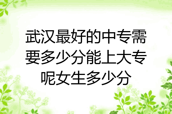 武汉最好的中专需要多少分能上大专呢女生多少分