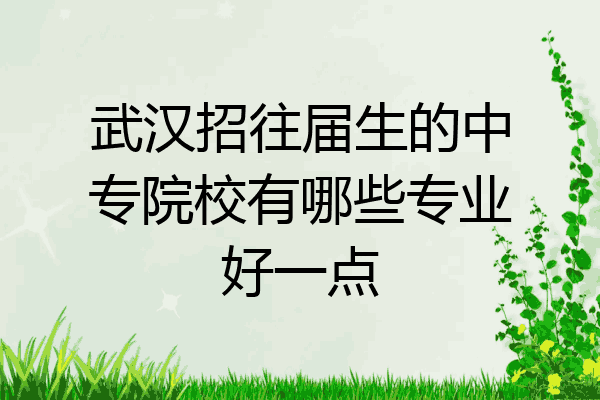 武汉招往届生的中专院校有哪些专业好一点