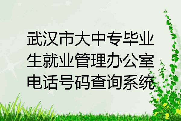 武汉市大中专毕业生就业管理办公室电话号码查询系统