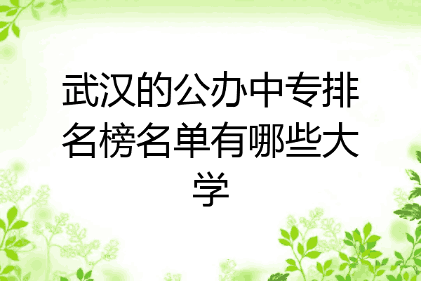 武汉的公办中专排名榜名单有哪些大学