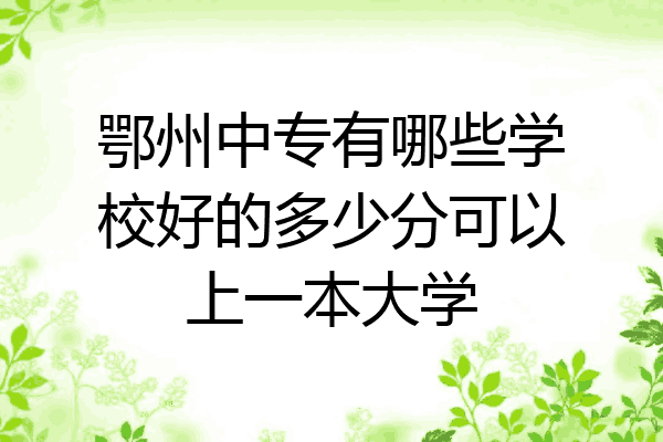 鄂州中专有哪些学校好的多少分可以上一本大学