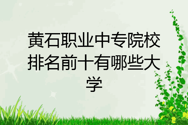 黄石职业中专院校排名前十有哪些大学