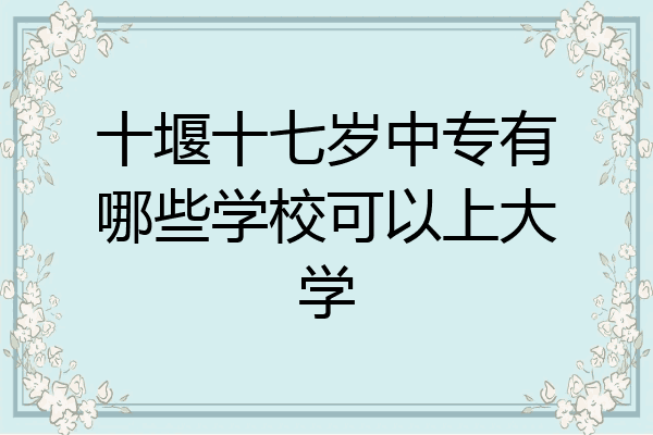 十堰十七岁中专有哪些学校可以上大学