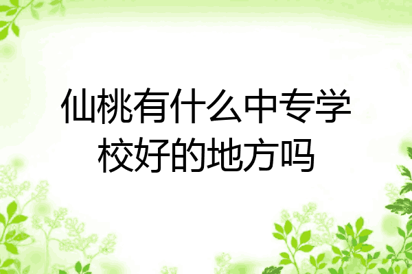 仙桃有什么中专学校好的地方吗