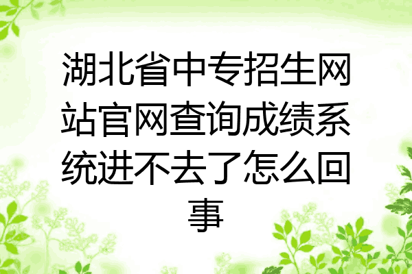 湖北省中专招生网站官网查询成绩系统进不去了怎么回事