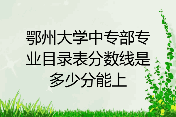 鄂州大学中专部专业目录表分数线是多少分能上