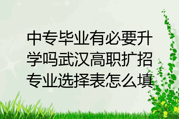 中专毕业有必要升学吗武汉高职扩招专业选择表怎么填