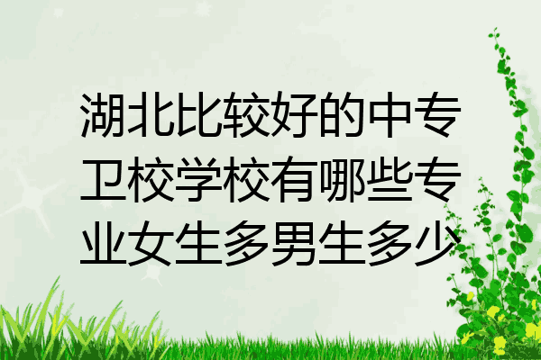 湖北比较好的中专卫校学校有哪些专业女生多男生多少