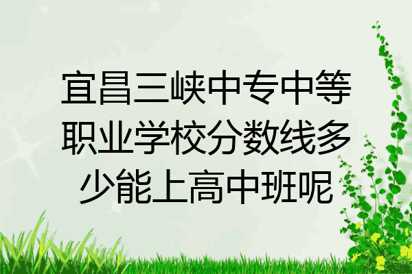 宜昌三峡中专中等职业学校分数线多少能上高中班呢