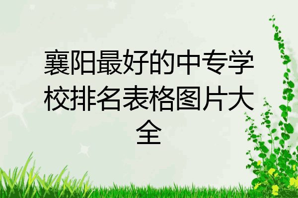 襄阳最好的中专学校排名表格图片大全