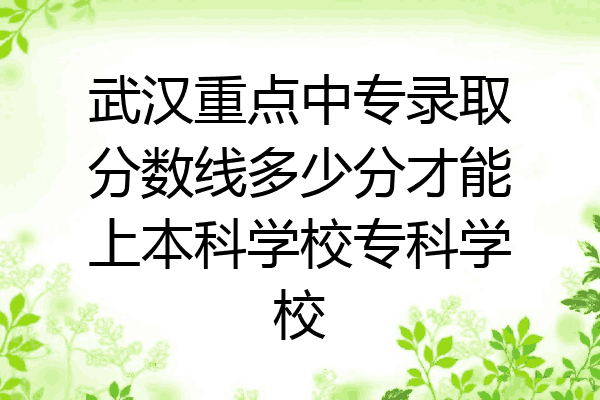 武汉重点中专录取分数线多少分才能上本科学校专科学校