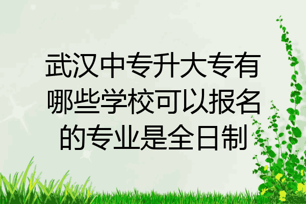 武汉中专升大专有哪些学校可以报名的专业是全日制