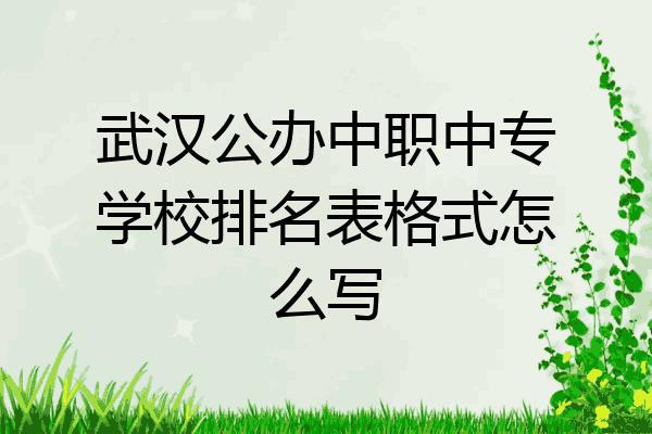 武汉公办中职中专学校排名表格式怎么写