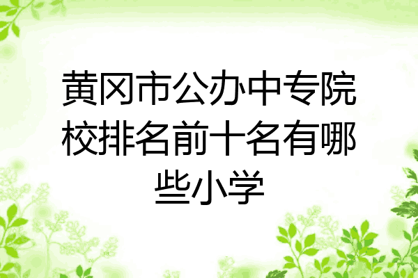 黄冈市公办中专院校排名前十名有哪些小学